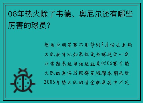 06年热火除了韦德、奥尼尔还有哪些厉害的球员？
